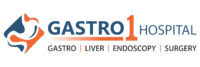 Gastro 1 logo