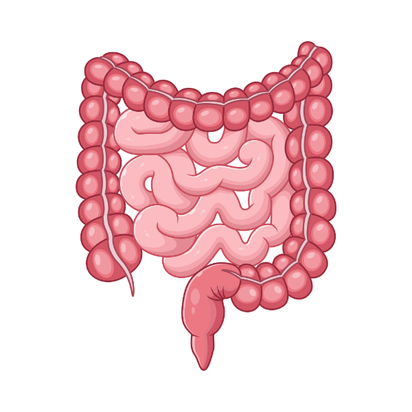 Malabsorption